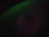20180220_230003-1-1.jpg
