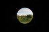 SAVE_20210131_141450.jpg